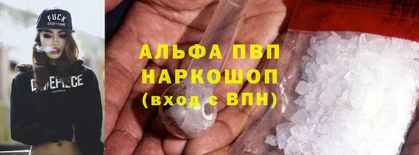 сатива Зерноград