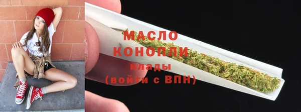 сатива Зерноград
