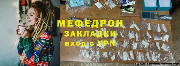 сатива Зерноград