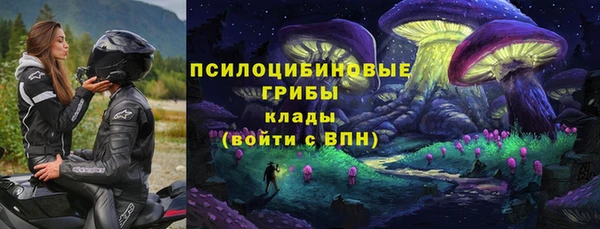 сатива Зерноград