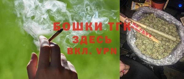 сатива Зерноград
