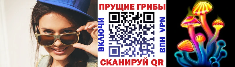 Галлюциногенные грибы Psilocybe  Купить  Геленджик 